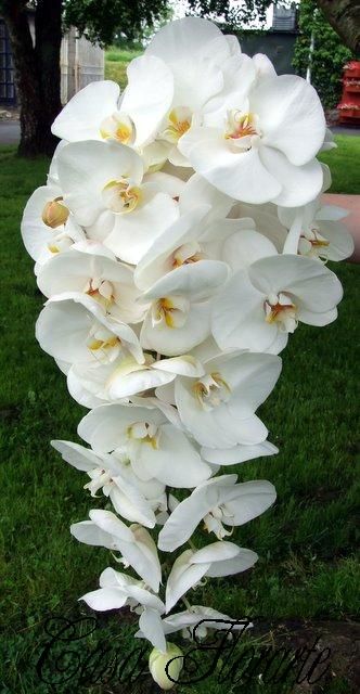 White Orchid Bouquet, Wedding Bucket, Spring Wedding Bouquets, Cascading Wedding Bouquets, Orchid Bouquet, Orchid Wedding, Cascade Bouquet, Trendy Flowers, Beautiful Orchids