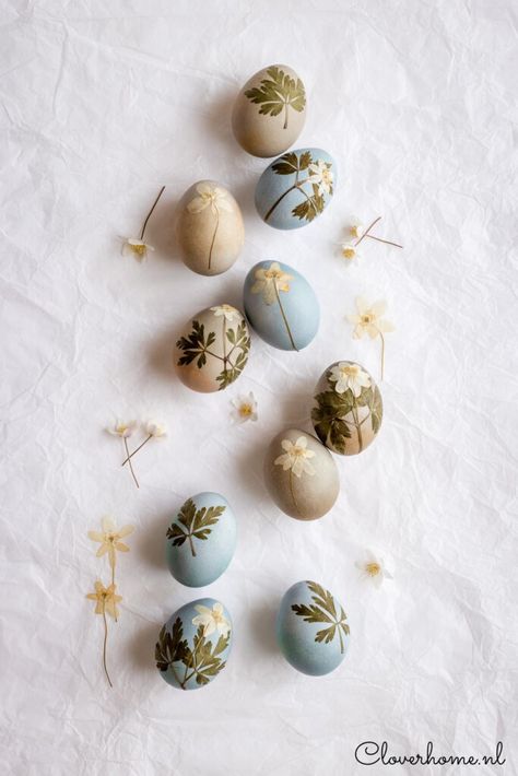 These natural dye Easter eggs are fun to make. Use fruits and vegetables to dye the eggs and pressed flowers and leaves to decorate them. Easter Egg Painting Natural, Easter Natural Decor, Pressed Flower Easter Eggs, Easter Eggs Natural Dye, Easter Aesthetics, Natural Easter Decor, Easter Aesthetic, Natural Easter Eggs, Dyed Eggs