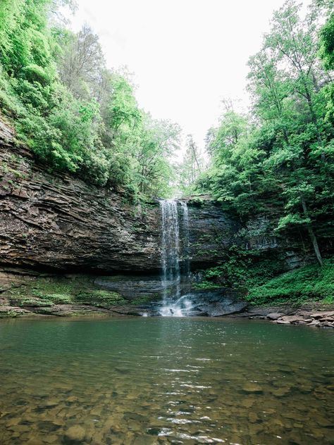 Cloudland Canyon State Park (complete guide) | Chris & Sara Georgia State Parks, Cloudland Canyon, Downtown Chattanooga, Pizza Company, Waterfall Trail, Hang Gliding, Lookout Mountain, Swimming Holes, Outdoor Fun