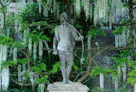 The secrets of the wisteria pergolas in the Private Gardens at Petworth House - Country Life Euphorbia Polychroma, Petworth House, Wisteria Pergola, Trachelospermum Jasminoides, House Country, Covered Pergola, Green Backdrops, The Cloisters, Chelsea Flower