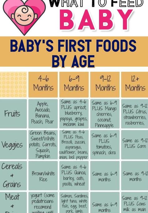 Introducing Solids To Baby, Baby First Food Chart, Led Weaning First Foods, Baby Food Recipes Stage 1, Starting Solids Baby, Weaning Baby, Baby Food By Age, Baby Led Weaning First Foods, Baby Solid Food