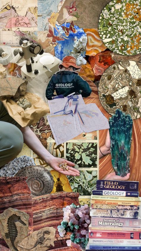 #aesthetic #wallpaper #background #geology #collage #geologist #rocks #rock #science #stem #stemgirl #fossil #fossils #archeology #paleontology Environmental Science Major, Rock Science, Field Journal, What To Study, Science Stem, Phd Life, Wildlife Biologist, Rocks And Fossils, Geology Rocks