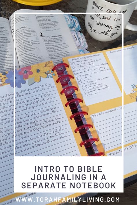 Are you ready to study Scripture without the distraction of creating artwork in your Bible? I show how I use a separate notebook to copy and journal about Scripture. | Torah Family Living Torah Study Journal, Bible Study Notebook Scripture Journal, Devotional Journal Ideas Design, Bible Reading Journal, Scripture Notebook, Scripture Study Journal, Bible Notebook, Scripture Doodle, Bible Journal Notebooks