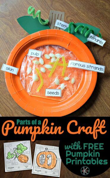 🍂 Why do Leaves Change Color Experiment for Kids Pumpkin Craft Kindergarten, Pumpkin Parts, Pumpkin Science Experiment, Pumpkin Lessons, Craft Kindergarten, Pumpkins Preschool, Pumpkin Science, Shape Matching Game, Parts Of A Pumpkin