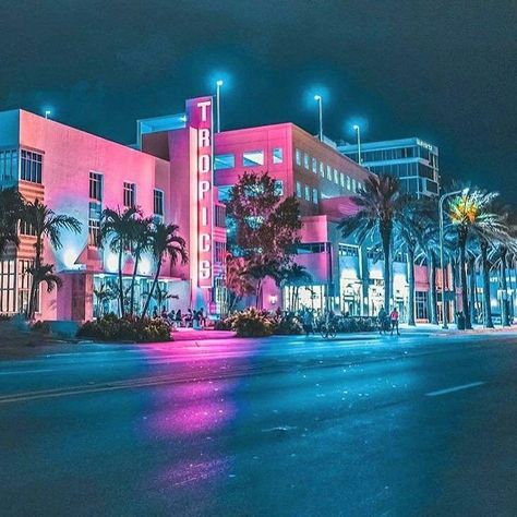 Dolphin Party, Miami Nights, Miami Art Deco, Miami Night, Miami Life, New Retro Wave, Beach Night, Miami Art, Miami Vice