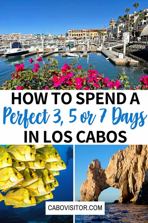 Discover the magic of Cabo San Lucas with our perfectly curated Cabo itinerary! Enjoy a fabulous 5 days in Cabo -- or adapt this itinerary for a 3-day Cabo getaway or even one week in Los Cabos. Pristine beaches, mouthwatering cuisine and unforgettable adventures await! Cabo San Lucas Marina, Cabo San Lucas Itinerary, Cabo San Lucas Family Vacation, Cabo In November, Cabo San Lucas Vacation, Secrets Los Cabos Mexico, Cabo Things To Do, Packing List For Cabo San Lucas Mexico, Cabo Birthday Trip