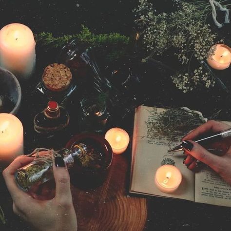 Kassidy Core, Jasper Core, Cottagecore Witch Aesthetic, Forest Witch Aesthetic, Green Witch Aesthetic, Witchy Cottagecore, Ideal Aesthetic, Oc Aesthetic, Forest Witch