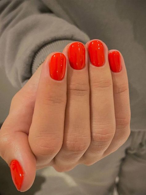 Vacation Nail Colors, Types Of Nails Shapes, Gel French Manicure, Kadeřnické Trendy, Squoval Nails, Nails Trends, Red Nail Polish, Vacation Nails, Nails Red