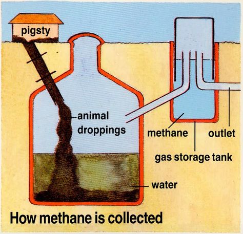 HOW IS BIOGAS MADE? Biogas Generator, Biogas Digester, Non Renewable Energy, Biomass Energy, Free Energy Projects, Renewable Energy Systems, Free Energy Generator, Patio Diy, Energy Projects