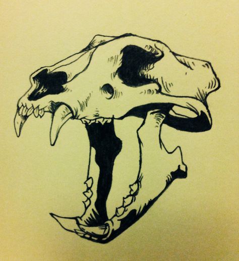 Tiger skull. DIEF13... Easy Animal Skull Drawing, Panther Skull Tattoo, Jaguar Skull Tattoo, Tiger Skull Drawing, Animal Skulls Drawing, Tiger Skull Tattoo, Dog Skull Tattoo, Panther Skull, Jaguar Skull