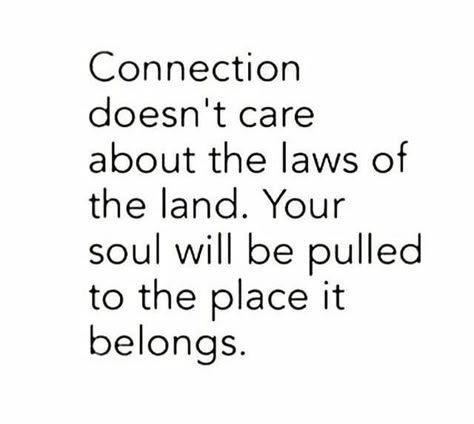 Connection doesn't care about the laws of the land. Your soul will be pulled to the place it belongs. Connection Quotes, Soul Connection, Soulmate Quotes, Soul Searching, Word Up, Worth The Wait, Infp, A Quote, True Words