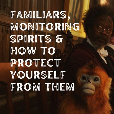 Familiars, Monitoring Spirits & How to Protect Yourself from Them — Desirée M. Mondesir Monitoring Spirits, Voice Note, Soul Ties, Spiritual Prayers, Magick Book, Spirit Quotes, Spiritual Cleansing, Body Healing, Prayer Room