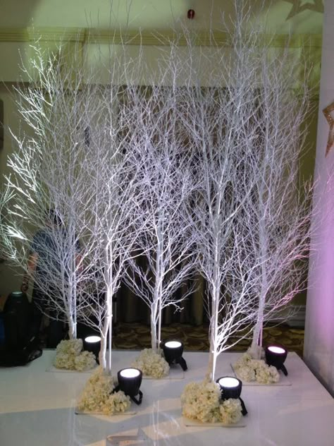 These 10ft White Birch Trees are perfect for a Winter Wonderland/Narnia/Christmas event. Winter Wonderland-party, Christmas Stage Design, Christmas Stage, Winter Wonderland Decorations, Designers Home, White Birch Trees, White Trees, Winter Wonderland Theme, Church Stage Design