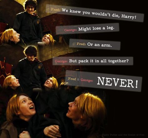 "NEVER!" - Weasley Twins George Weasley Fan Art, Fred And George, Citate Harry Potter, Weasley Family, Harry Potter Movie, Potter Quotes, Expecto Patronum, Fred And George Weasley, Weasley Twins