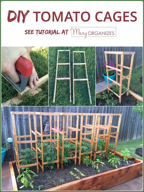 Diy Tomato Cage, Tomato Trellis, Growing Tomatoes In Containers, Meteor Garden 2018, Tomato Cages, Tomato Garden, Organic Gardening Tips, Vegetable Garden Design, Growing Tomatoes