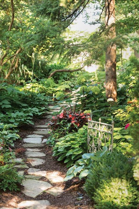 Woodsy Patio Ideas, Pnw Natural Landscaping, Midwest Gardens Landscapes, American Garden Design, Pennsylvania Garden Ideas, Magical Small Garden, Minnesota Native Plants Landscapes, Forest Landscaping Ideas, Secret Garden In The Woods