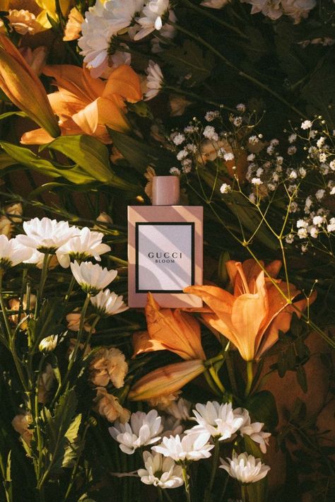 Gucci Bloom photography by Nuria Val #product #photography #productstyling #perfume #fragrance #scent #beauty #floral Gucci Perfume, Gucci Bloom, Creative Advertising Photography, Tanaman Indoor, Fragrance Photography, Perfume Photography, Fotografi Kota, Photography Themes, Study Board