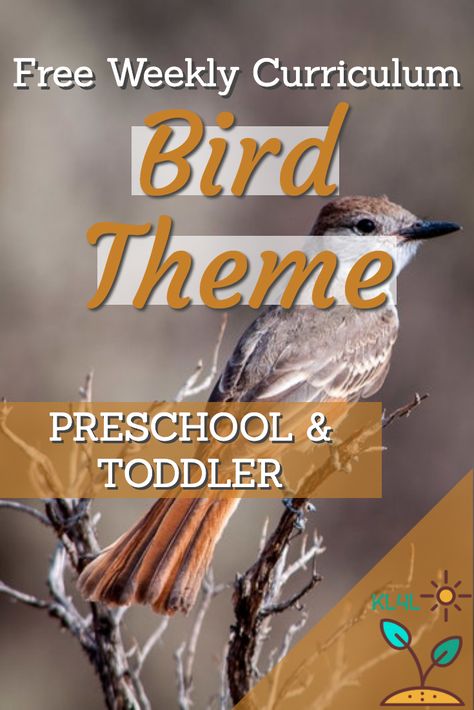 Preschool Lessons About Birds, Bird Themed Activities For Preschoolers, Birds Lesson Plans For Toddlers, All About Birds Preschool, Bird Ideas For Preschoolers, Learning About Birds Preschool, Bird Lesson Plans For Toddlers, Bird Week Preschool Activities, Birds Lesson Plans Preschool