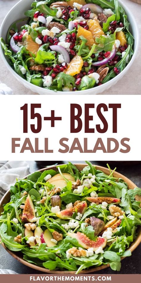 Enjoy some greens with one of these 15+ Best Fall Salads. Fall may be about cozy comfort food for most, but this time of year I always look forward to fall salad recipes packed with some of my favorite ingredients of the season. Of course my summer salad recipes have a special place in my heart, but these fall salads are my absolute favorite. Each of these recipes are festive and magical in their own rite, whether they incorporate figs, persimmon, pomegranate, pears, apple, brussels sprouts. Fall Salad Recipes Meal Prep, Fall Brunch Salad Recipes, Best Autumn Salad Recipes, Autumn Green Salad Recipes, Yummy Fall Salads, Harvest Salads Fall, Early Fall Salad, Thanksgiving Salad Nut Free, Salad Recipes For Potluck Parties