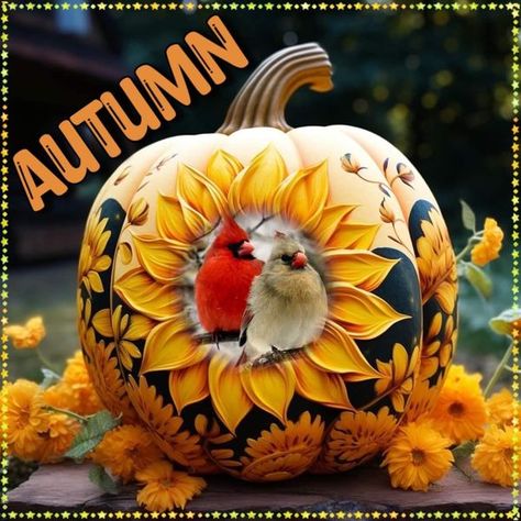 Anything Cardinals | Have an enjoyable Sunday everyone 🍁🍂🌻🍂🍁 | Facebook Sunflower Painted Pumpkin, Pumpkin Pics, Halloween Sunflower, Creative Pumpkin Painting, Sunflower Artwork, Halloween Art Projects, Sunflower Pumpkin, Pumpkin Sunflower, Fall Pumpkin Crafts