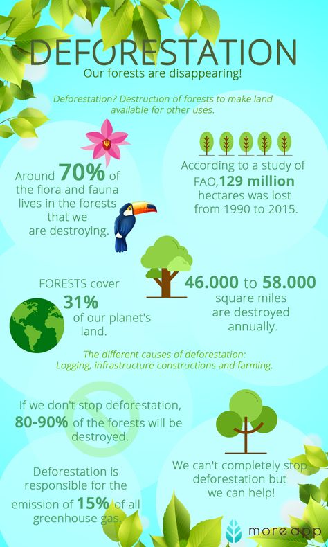 #Deforestation is a serious problem for our nature and forests. According to a study done by the Food and Agriculture Organization of the United Nations (FAO), from 1990 to 2015, about 129 million hectares of forests were lost. We want to prevent this by the use of #digitalforms. Want to know more? Read the #blog. ���🐞🌲 Stop Deforestation Poster, Forest Conservation Poster, Deforestation Poster Ideas, Deforestation Project, Forest Facts, Deforestation Facts, What Is Deforestation, Deforestation Poster, Animal Facts For Kids