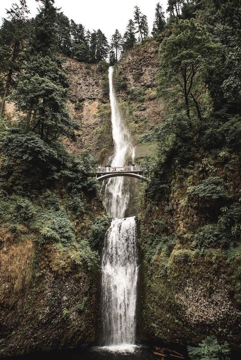 What to do and see on a first visit to Portland - Matador Network San Francisco Road Trip, Gorge Oregon, Columbia Gorge, Oregon Waterfalls, Oregon Road Trip, Multnomah Falls, Columbia River Gorge, Oregon Usa, Nature Tree