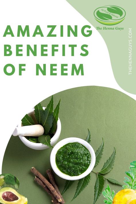 AMAZING BENEFITS OF NEEM Neem Leaf Benefits, Neem Face Pack, Benefits Of Neem, Neem Leaves, Neem Tree, Neem Soap, Neem Powder, Sandalwood Powder, Types Of Diseases