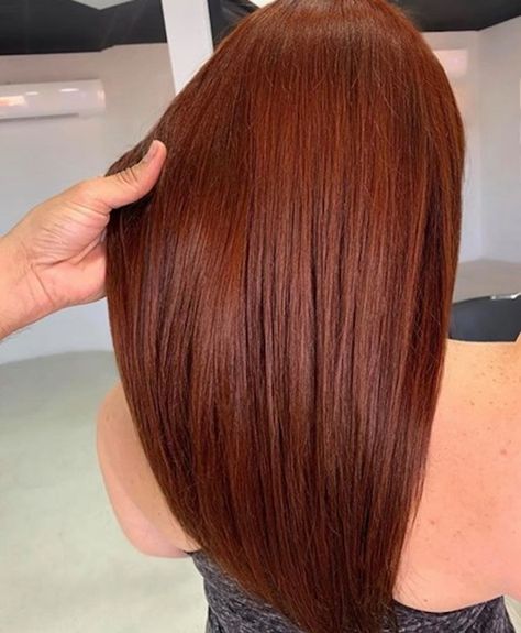 The Absolute Best Brown Hair Colors To Try in Winter 2020 Reddish Copper Hair, Brown Red Copper Hair Color, Redish Brown Hair, Reddish Brown Hair Color, Auburn Red Hair, Hair Colors To Try, Copper Brown Hair, Red Balayage Hair, Copper Red Hair