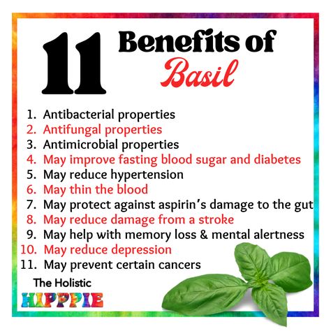 Benefits Of Basil Benefits Of Basil Leaves, Basil Oil Benefits, Holy Basil Benefits Health, Basil Water Benefits, Basil Tea Benefits, Basil Essential Oil Benefits, Basil Seeds Benefits, Holy Basil Benefits, Basil Benefits