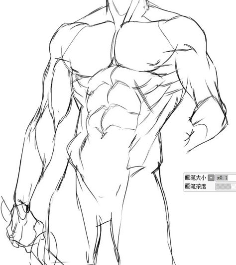 남성 근육, Male Body Drawing, Male Art Reference, Man Anatomy, Male Pose Reference, Human Anatomy Drawing, Body Sketches, 남자 몸, Human Anatomy Art