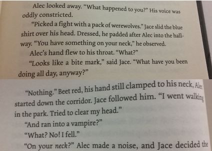 Alec And Magnus Book, Alec Lightwood Quotes, Malec Quotes, Malec Book, Alec And Jace, Gallagher Girls, Shadowhunters Series, City Of Ashes, Magnus And Alec