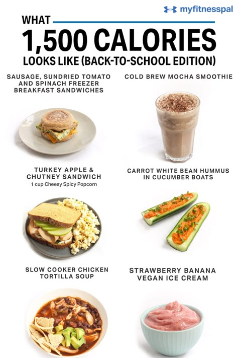 Back-to-School Meal Prepping! This sample #1500calories meal plan features quick and easy meals you (and your kids) will love. The key to eating healthy during busy times is working with balanced recipes — meals you can make over the weekend, throw into a slow cooker, pack the night before or blend together in less than a minute. #MyFitnessPal #1500CalorieDay #mealplanning #mealprep #backtoschool #afterschoolsnacks #lunchrecipes #healthysnacks #healthymeals #easymeals #easyrecipes #weightloss 1500 Calorie Diet, 1500 Calorie Meal Plan, 500 Calorie Meals, Perfect Diet, Calorie Meal Plan, 1200 Calories, 500 Calories, Lunch Snacks, Diet Meal Plans