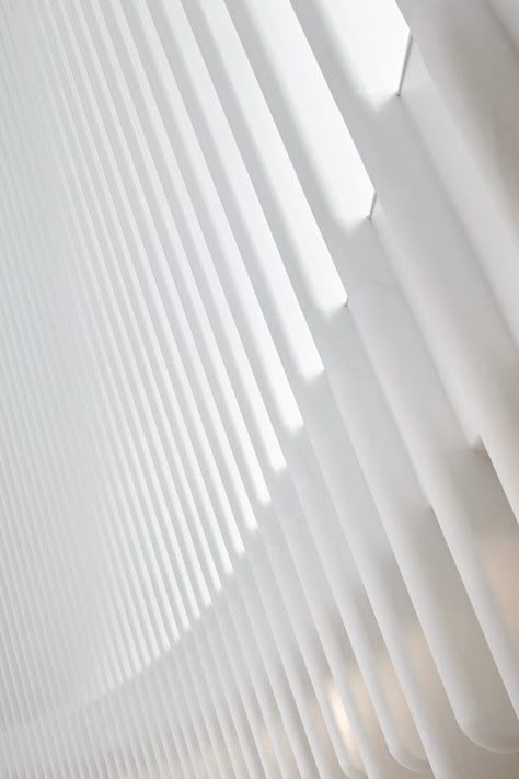 Gallery of Gallery: Calatrava's WTC Transportation Hub Photographed by Hufton+Crow - 50 Inspirational Architecture, Crow Photos, Minimal Photography, Mood Images, Santiago Calatrava, Simple Luxury, Famous Architects, Clean Aesthetic, White Aesthetic