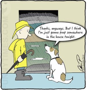 Dog Humor Cartoon, Dog Humor, Dog Comics, Dog Jokes, Funny Dog Memes, Funny Times, Cartoon Dog, Funny Animal Pictures, Dog Quotes