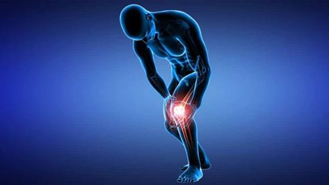 7 Best Exercises to Rehab Patellar Tendinitis - BuiltLean Patellar Tendon, Jumpers Knee, Iliotibial Band, Stretches Exercises, Wall Squat, Signs Of Inflammation, Straight Leg Raise, Stability Exercises, Back To The Gym