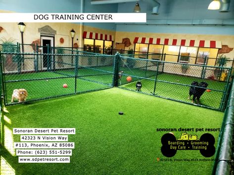 Dog Training Center, Dog Training Facility Ideas, Dog Playroom, Dog Facility, Dog Training Facility, Dog Boarding Ideas, Dog Daycare Business, Pet Daycare, Daycare Business