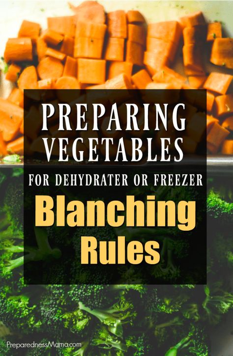 Blanch Vegetables, Freezing Food Guide, Preparing Vegetables, Freezing Veggies, Food Dehydration, Freezing Vegetables, Freezing Fruit, Dehydrated Vegetables, Storing Vegetables