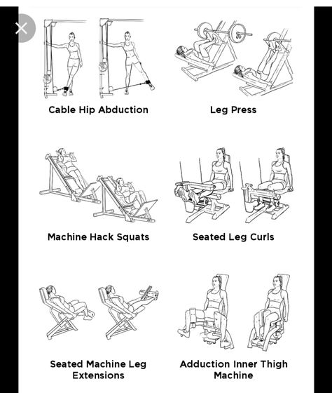 Gym Workouts Machines, Seated Leg Curl, Squat Press, Leg Press Machine, Inner Thigh Workout, Gym Machines, Leg Day Workouts, Baby Fat, Leg Curl