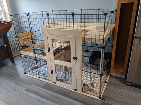 C&c Bunny Cage, Bunny Setup Ideas, Large Indoor Rabbit Enclosure, Indoor Bunny Setup, Diy Bunny Cage Indoor, Indoor Rabbit Setup, Free Roam Bunny Set Up, Bunny Condo, Diy Bunny Cage