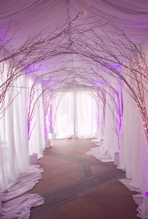 Branch archway wedding reception entrance Winter Wonderland Party Theme, Winter Wonderland Decorations, Wedding Branches, Prom Themes, Winter Dance, Inside Weddings, Aspen Wedding, Dance Themes, Prom Theme