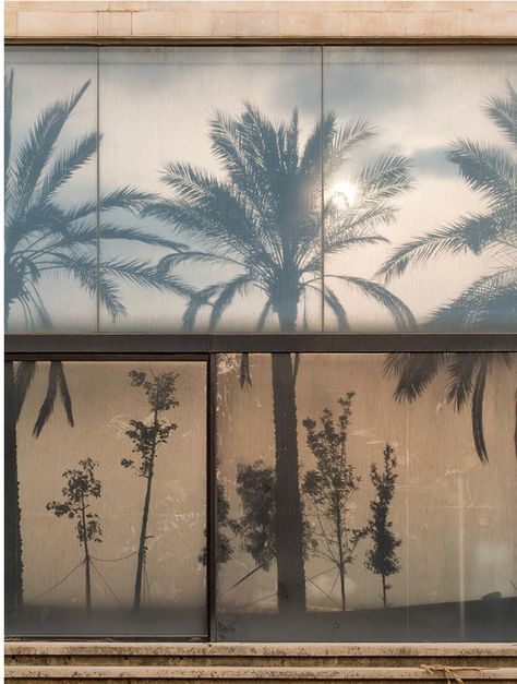 • Oh Well • Minimalism Living, Ombres Portées, Shadow Play, Foto Ideas Instagram, Light And Shadow, Summer Aesthetic, Palm Trees, Summer Vibes, Mood Board