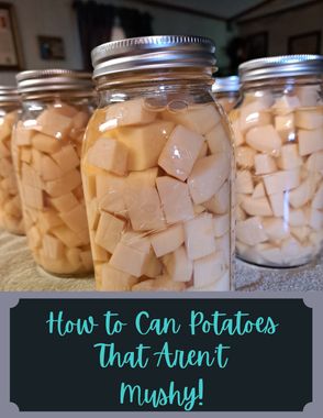 How to Can Potatoes That Aren't Mushy! How To Can Potatoes In Pressure Cooker, Canning Mashed Potatoes, Potato Canning Recipes, How To Can Potatoes, Canning Potatoes Water Bath, Canning Potatoes Pressure Cooker, Can Potatoes, Canning Potatoes, Canned Potatoes