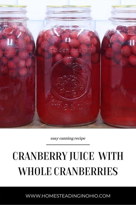 Healthy Cranberry Juice Recipes, Home Canned Cranberry Juice, How To Make Cranberry Juice From Fresh Cranberries, Making Cranberry Juice, How To Can Cranberry Juice, Cranberry Juice From Fresh Cranberries, Can Cranberry Recipes, Make Cranberry Juice, Homemade Cranberry Juice Recipe