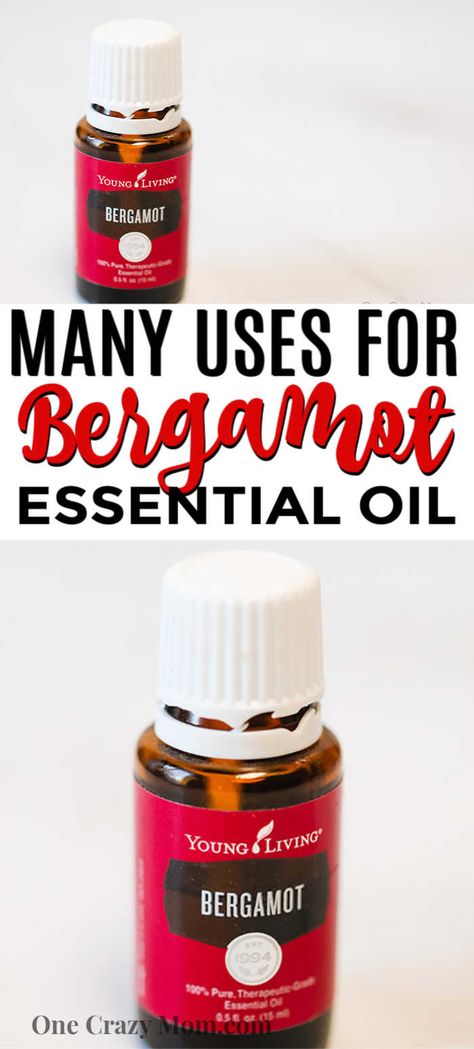 Bergamot Oil Benefits, Bergamot Essential Oil Benefits, Bergamot Benefits, Bergamot Essential Oil Uses, Young Living Bergamot, Essential Oils For Massage, Calming Essential Oils, Young Living Essential Oils Recipes, Essential Oils Guide