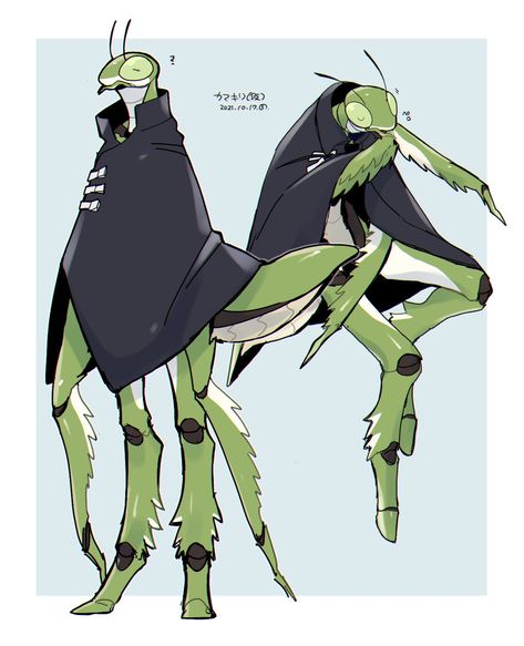 #120145 - safe, artist:sannota272, arthropod, insect, praying mantis, anthro, ambiguous gender, antennae, cloak, solo - Furbooru Clothes Digital Art, Bug Art, Alien Concept Art, Praying Mantis, Fantasy Creatures Art, Art Green, Monster Design, Creature Concept Art, Simple Background