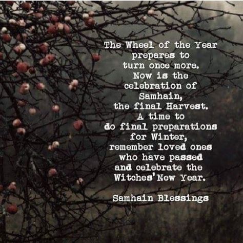 Samhain Blessings, Shadow Witch, Witches Wheel, Witch Crystals, Blessed Samhain, Traditional Witchcraft, Witch Quotes, Samhain Halloween, Witchcraft Spell Books