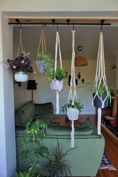 12 IKEA Hacks, tricks and ideas to Keep Your Houseplants Happy. IKEA Hacks for Plants - Pots, Plant Stands, Terrariums. IKEA's $5 shelf bracket can hold more than just shelves. Lisa from the German blog It's Pretty Nice devoted hers to holding plants. There are also easy DIY hacks for bowls, wooden plates and stands, macrame hanging planters, BORBY lanterns, Baskets, Frosta stools (the legs!), and raskog cart. Global Bohemian, Ikea Plants, Oxalis Triangularis, Balkon Decor, Tanaman Indoor, Plants Hanging, Hacks Ikea, Sunroom Ideas, Herbs Garden