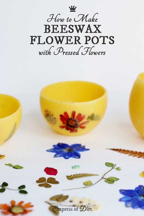 These homemade beeswax flower pots decorated with pressed flowers and leaves are perfect for smaller houseplants. Beeswax Diy, Homemade Beeswax Candles, Beeswax Recipes, Candle Bowls, Beeswax Candles Diy, Bee Wax Candles, Candle Luminaries, Diy Bowl, Small Flower Pots