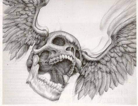 Cool Drawings of Skulls | Artist David Uhl's ballpoint pen drawing appears on pg 35 of HOG ... Drawings Of Skulls, David Uhl, Skull Photography, Drawing Flames, Harley Tattoos, Art Emotions, Skull Sketch, Winged Skull, Ballpoint Pen Drawing