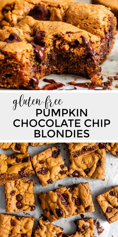 These gluten-free pumpkin chocolate chip blondies are full of pumpkin flavor and cozy fall spices, with the chewiest, gooiest center. Gf Pumpkin Blondies, Gluten Free Pumpkin Blondies Recipe, Gluten Free Pumpkin Chocolate Chip Bars, Gluten Free Dairy Free Pumpkin Dessert, Gluten And Dairy Free Fall Desserts, Gluten Free Pumpkin Brownies, Gf Fall Desserts, Gluten Free Fall Cookies, Pumpkin Brownies Healthy